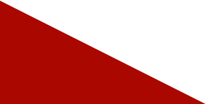 Kokk